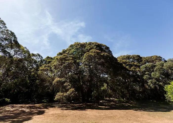 Turner Brook