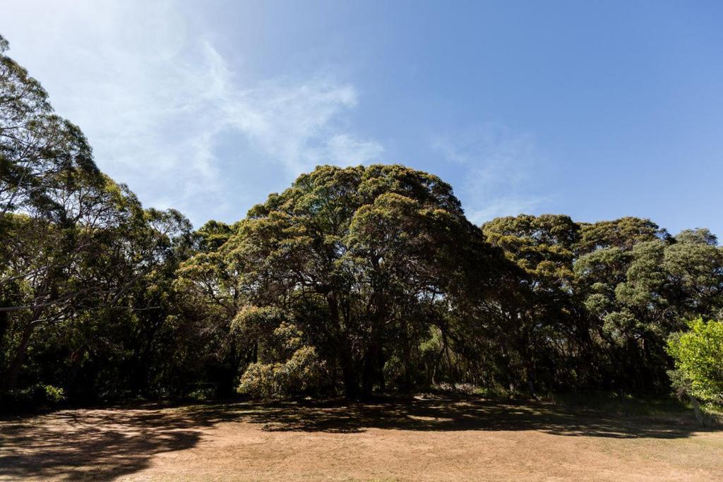 Holiday home Turner Brook Augusta